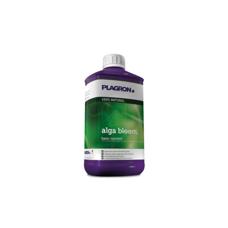 Alga Bloom