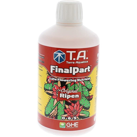 Final Part T.A. (Ripen)