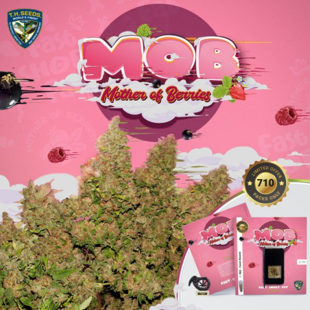 MOB™