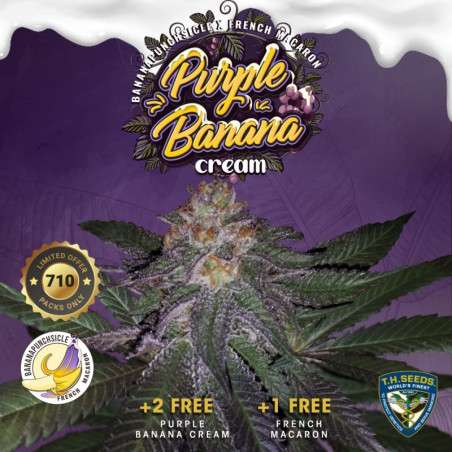 Purple Banana Cream