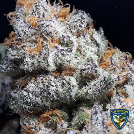 Purple Banana Cream