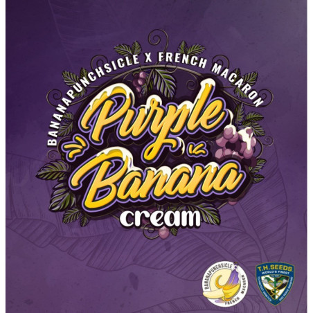 Purple Banana Cream