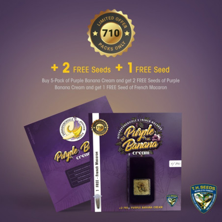 Purple Banana Cream