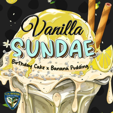 Vanilla Sundae