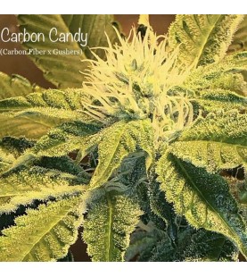 Carbon Candy