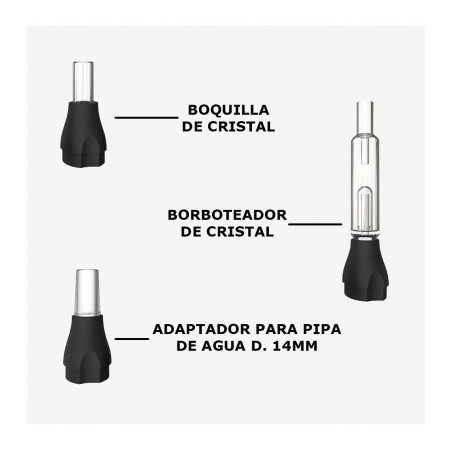 X-Max Vital