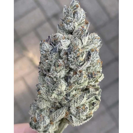 Marshmallow OG
