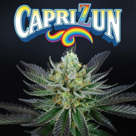 Capri Zun