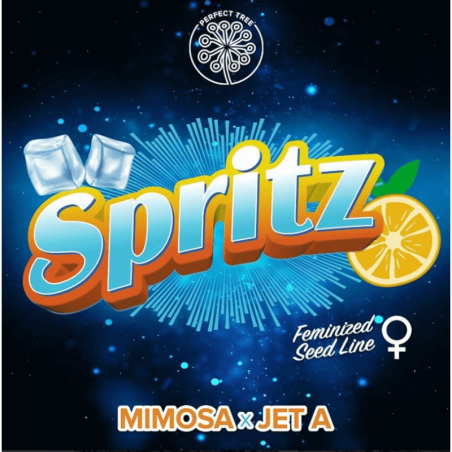 Spritz