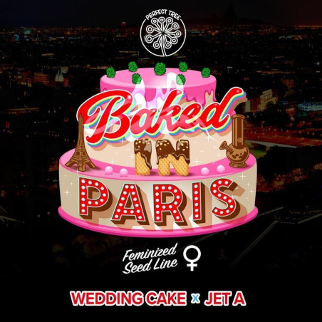 Baked in Paris