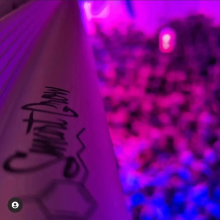 2x1 EMMERSON RAYS - SMART GROW