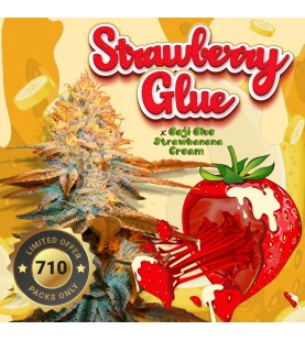 Strawberry Glue