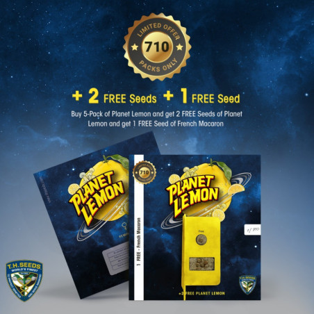 Planet Lemon
