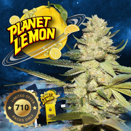 Planet Lemon
