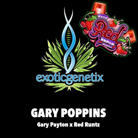 Gary Poppins