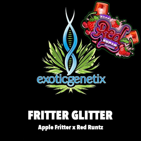 Fritter Glitter