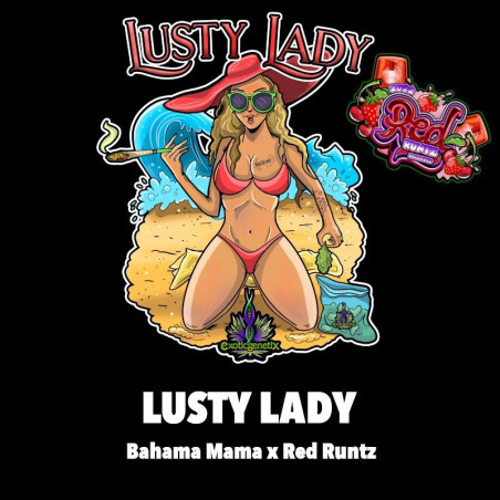 Lusty Lady