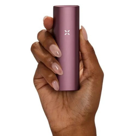 PAX Plus Kit Completo