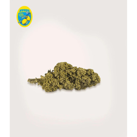 Lemon Xuxes Flores de CBD