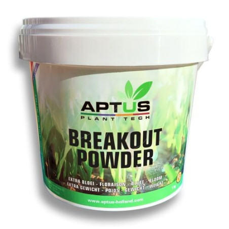 Breakout Powder