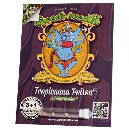 Tropicanna Poison F1 Fast Version®