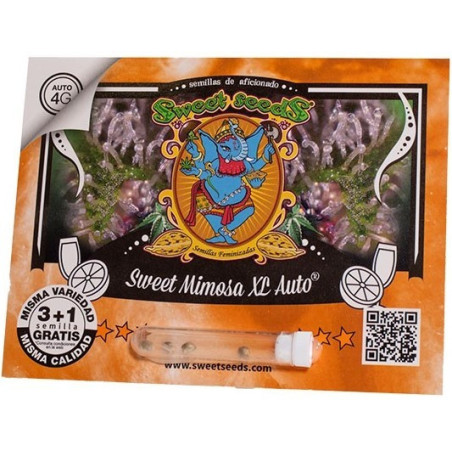 Sweet Mimosa XL Auto®