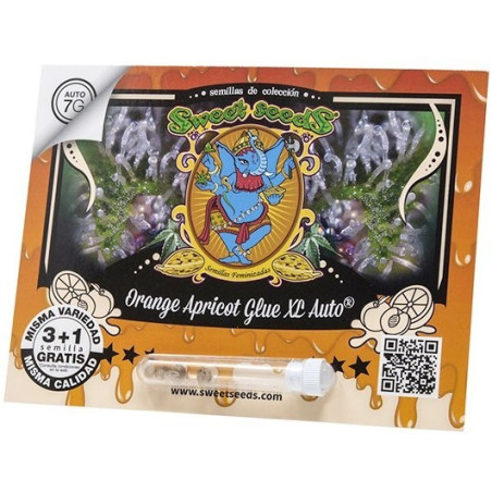 Orange Apricot Glue XL Auto®