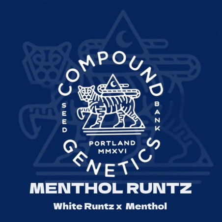Menthol Runtz