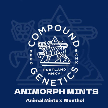 Animorph Mints