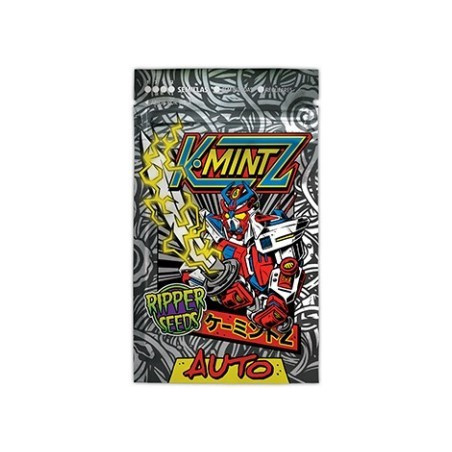 KMintz Auto
