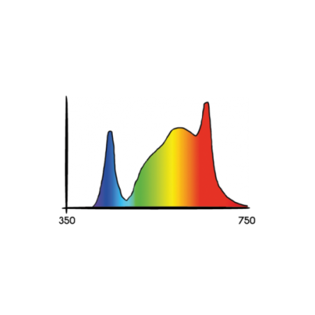 Secret Jardin Cosmorrow LED