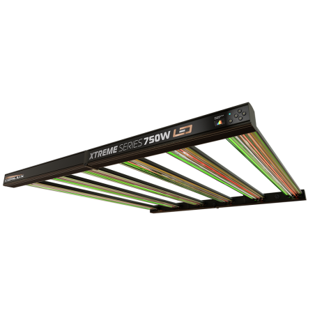 Dimlux LED 750W Xtreme Series