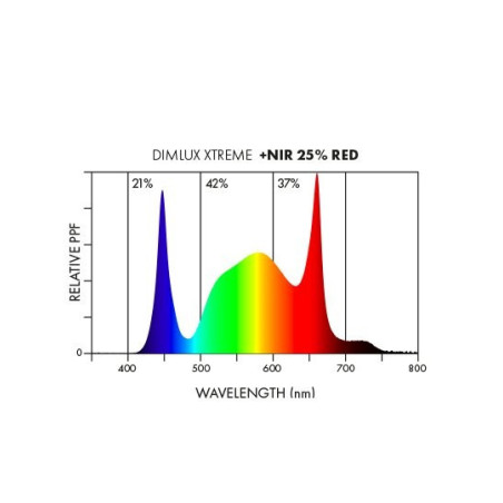 Dimlux LED 750W Xtreme Series