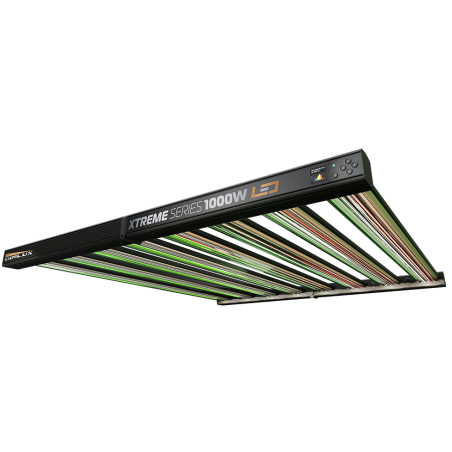 Dimlux LED 1000W Xtreme Series