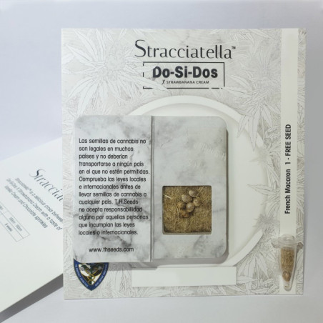 Stracciatella Do-Si-Dos x SBC