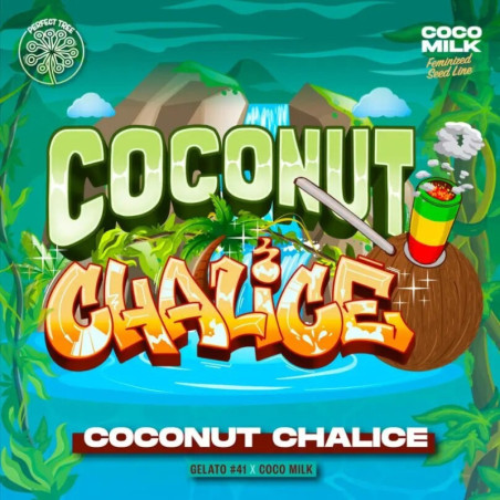 Coconut Chalice