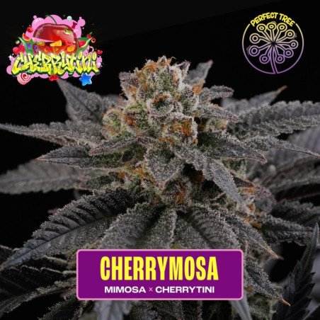 Cherrymosa