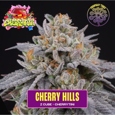 Cherry Hills