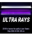 ULTRA RAYS - SMART GROW