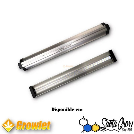 CLONING RAYS - SMART GROW