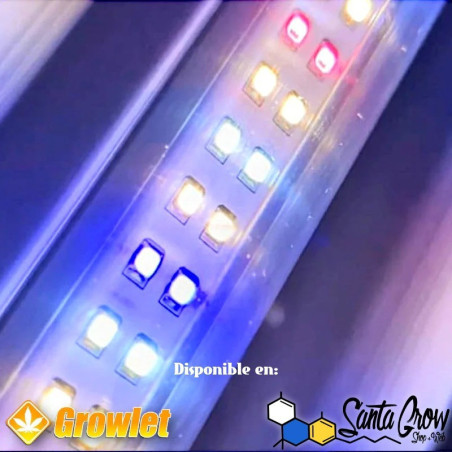 CLONING RAYS - SMART GROW