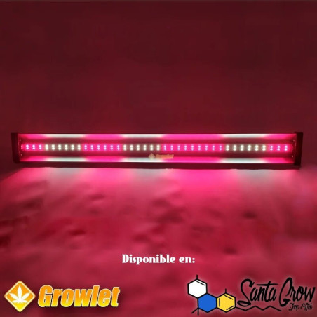 JUNGLE RAYS -SMART GROW