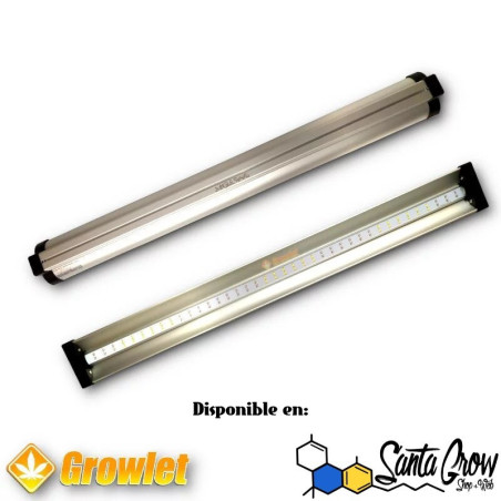 JUNGLE RAYS -SMART GROW