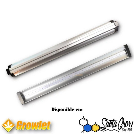 2x1 EMMERSON RAYS - SMART GROW