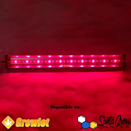 2x1 EMMERSON RAYS - SMART GROW