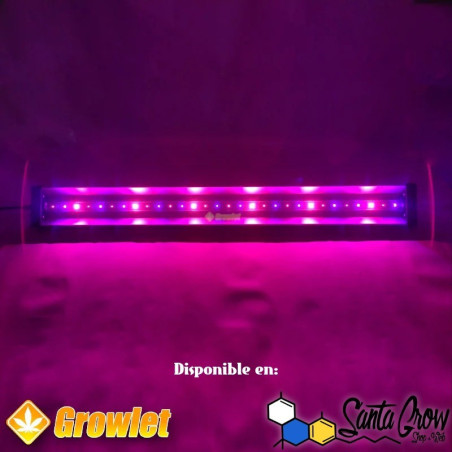 2x1 ULTRA EMMERSON RAYS - SMART GROW