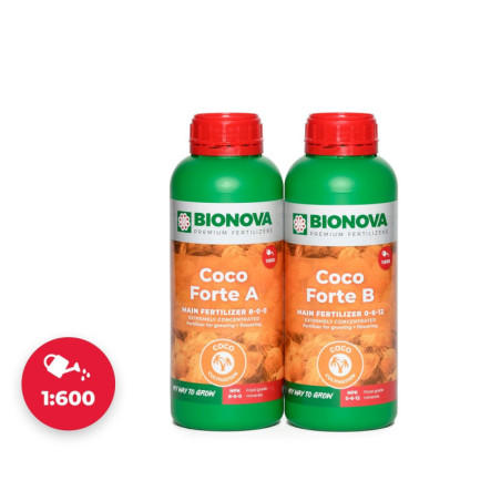 Coco Forte A+B 1+1L