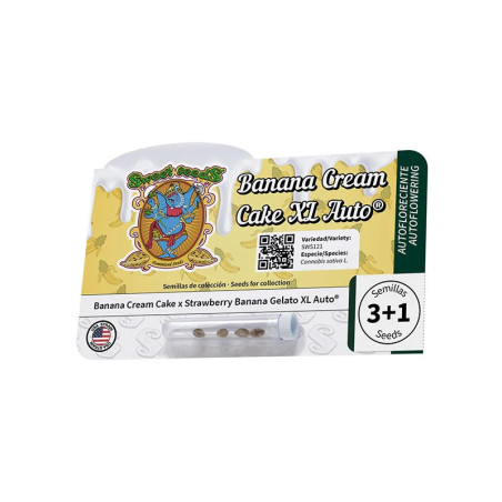 Banana Cream Cake XL Auto®