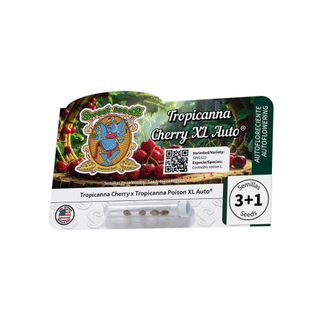 Tropicanna Cherry XL Auto®