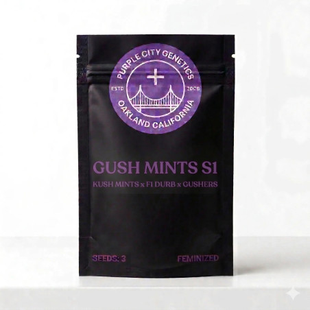 Gush Mints S1